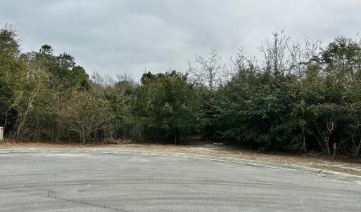 Lot 7 1