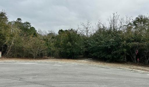 Lot 7 1