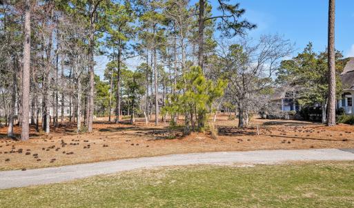 479 Emerald Valley Drive