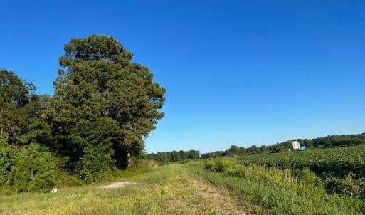 Screenshot 2025-02-26 at 3.07.27PM