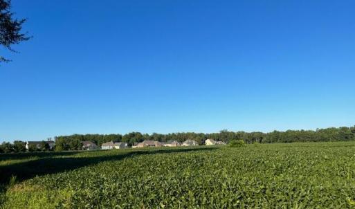 Screenshot 2025-02-26 at 3.07.53PM