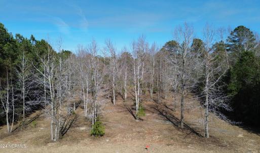 DJI_0058