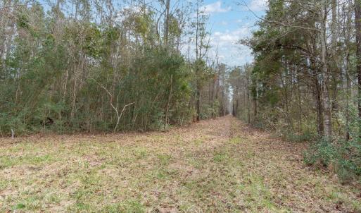 Florence Rd-20