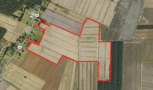 Screen Shot 2025-02-27 at 11.14.29 AM