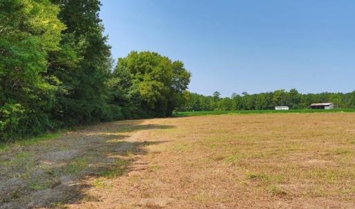 Photo #15 of Tbd Kehukee, Parkton, NC 15.7 acres