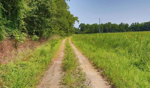 Photo #11 of Tbd Kehukee, Parkton, NC 15.7 acres