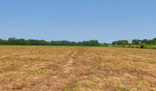 Photo #19 of Tbd Kehukee, Parkton, NC 15.7 acres