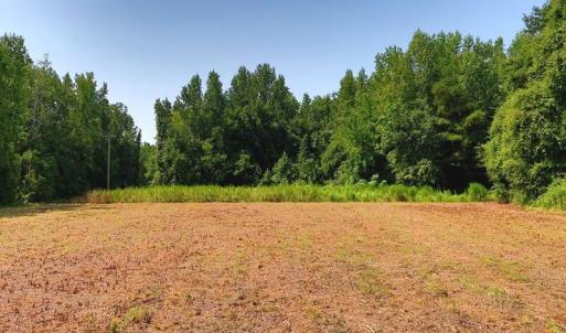 Photo #9 of Tbd Kehukee, Parkton, NC 15.7 acres