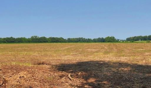 Photo #5 of Tbd Kehukee, Parkton, NC 15.7 acres