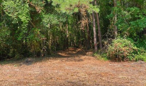 Photo #13 of Tbd Kehukee, Parkton, NC 15.7 acres