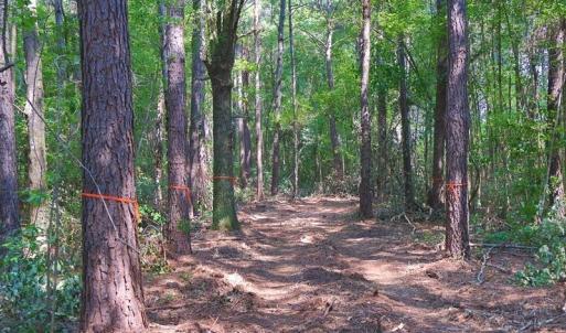 Photo #3 of Tbd Kehukee, Parkton, NC 15.7 acres