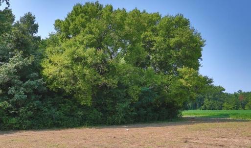 Photo #7 of Tbd Kehukee, Parkton, NC 15.7 acres