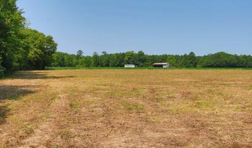 Photo #17 of Tbd Kehukee, Parkton, NC 15.7 acres