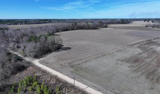 Tract 2 Kehukee Dr Farm