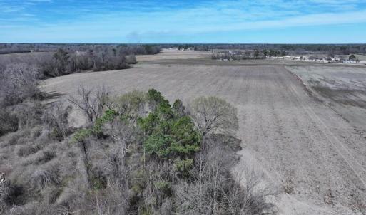 DJI_20250301125413_0450_D