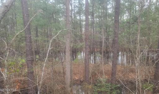Potential pond site