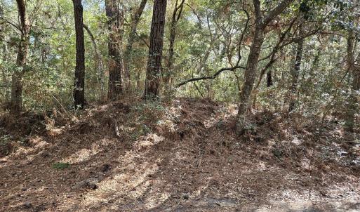 20250304_094925_resized