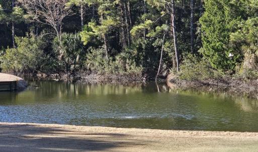 20250304_085001_resized