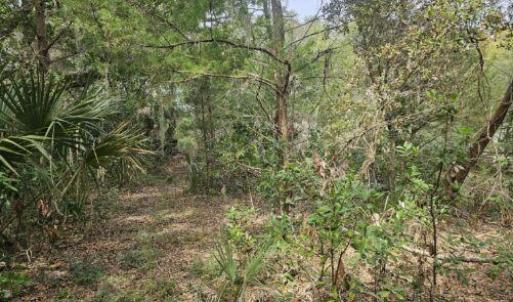 Resized_20250304_113050_1741105912866