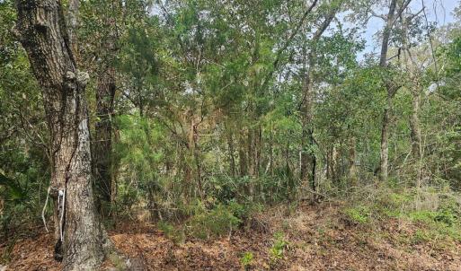 Resized_20250304_113130_1741105912210