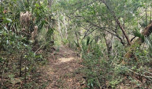 Resized_20250304_113030_1741105936440 (2