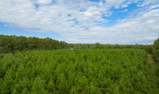 9 acre lot - Old Folkstone - Aerials - E