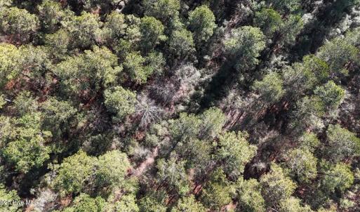 DJI_20250203123047_0258_D Large