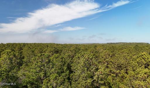 DJI_20250203121506_0219_D Large