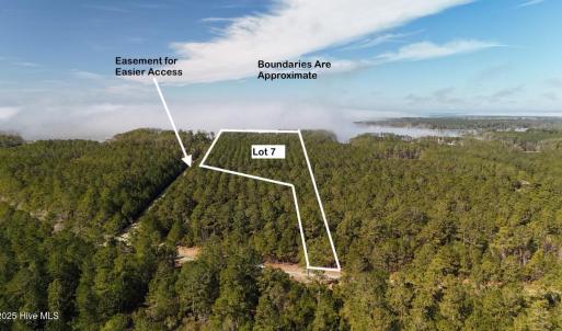 DJI_20250203121601_0220_D Large