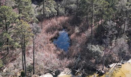 DJI_20250203122704_0252_D Large