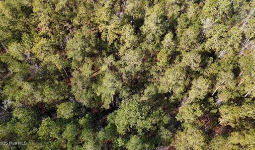 DJI_20250203121758_0224_D Large