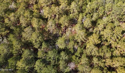 DJI_20250203121741_0223_D Large