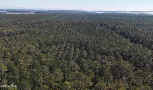 DJI_20250203122922_0256_D Large