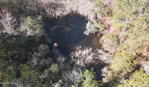 DJI_20250203121858_0226_D Large