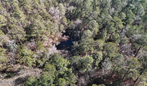 DJI_20250203122819_0254_D Large