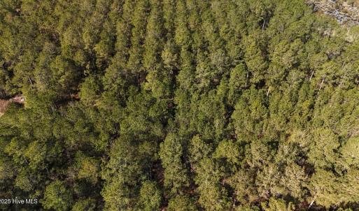 DJI_20250203121707_0222_D Large