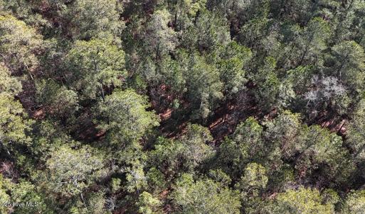 DJI_20250203122911_0255_D Large