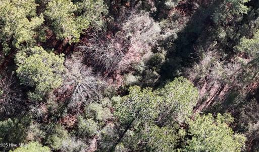 DJI_20250203123042_0257_D Large