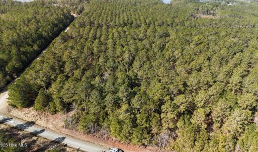 DJI_20250203121626_0221_D Large