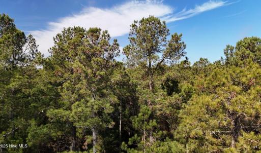 DJI_20250203121504_0218_D Large