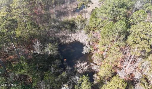 DJI_20250203121915_0229_D Large