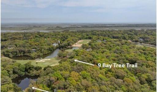 9 Bay Tree Trail 2