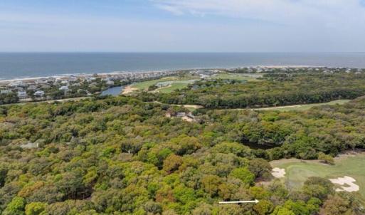 9 Bay Tree Trail 3