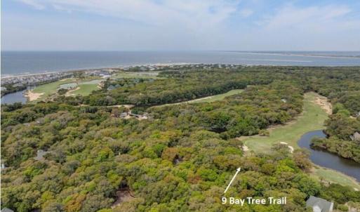 p Bay Tree Trail 1