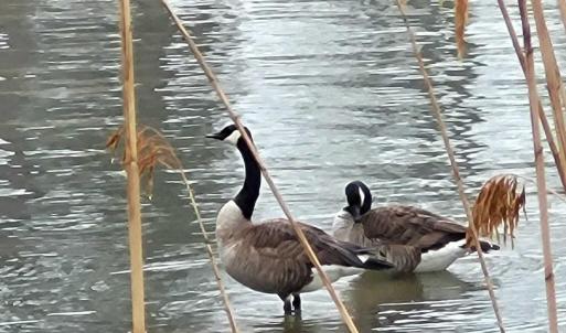 428623462_1171106770895387_3910569640236