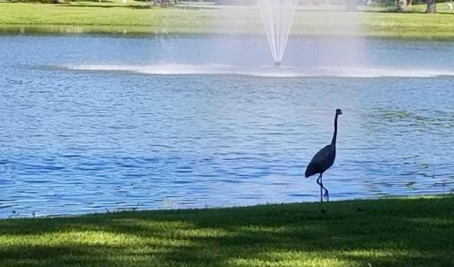 428619344_1171105564228841_1193353367657