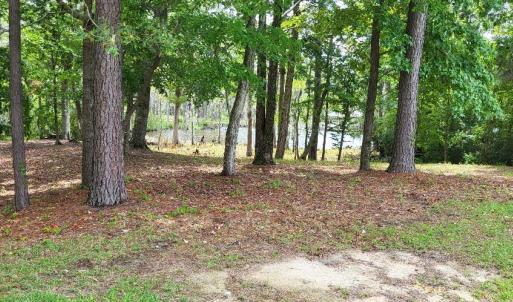 Photo #3 of 113 Fork, Hertford, NC 0.6 acres