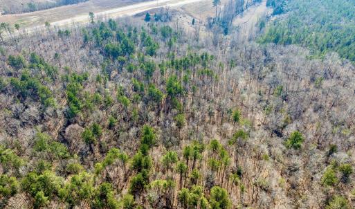 RS 1 DJI_0346-Enhanced-NR