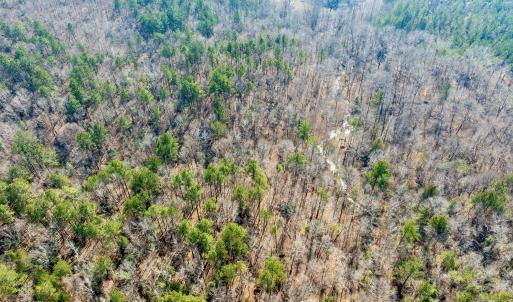 RS 1 DJI_0347-Enhanced-NR