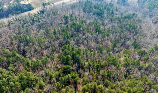 RS 1 DJI_0349-Enhanced-NR